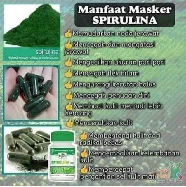 SPIRULINA BISA BUAT MASKER DAN JUGA KESEHATAN