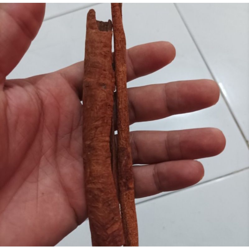 

10 G 50 GR 100 GRAM 本地桂皮 BEN DI GUI PI KAYU MANIS LOKAL CINNAMON BARK
