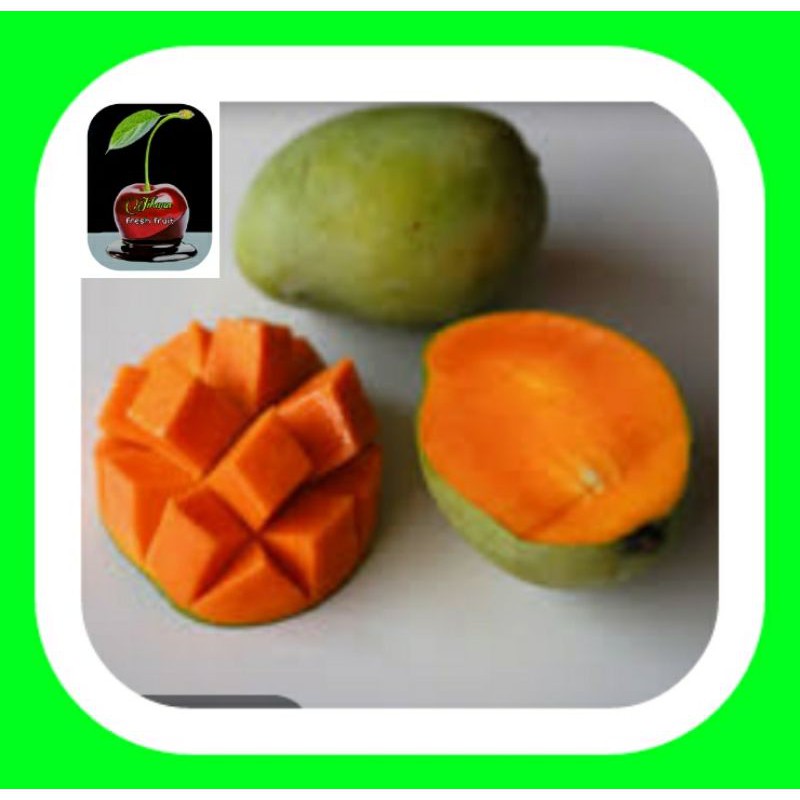 

buah mangga Indramayu 1kg