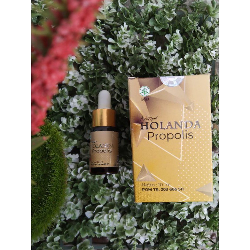 HOLANDA PROPOLIS OBATI PENYAKIT BERAT