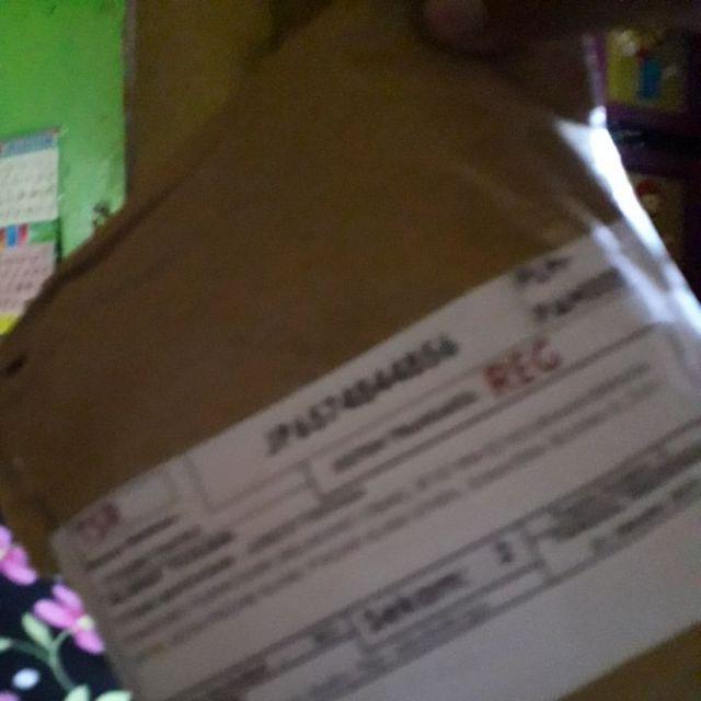 Biji Cabe king Of The North Pepper Seeds