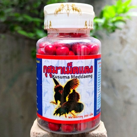 KAMLANG KUSUMA MEDDAENG - MEDAENG