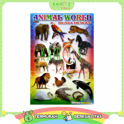 Poster Anak Edukasi Belajar Animal Binatang