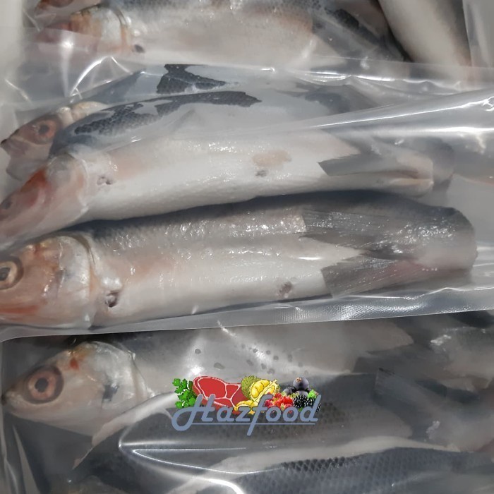

BANDENG CABUT DURI +/- 1 kilo isi 3-4