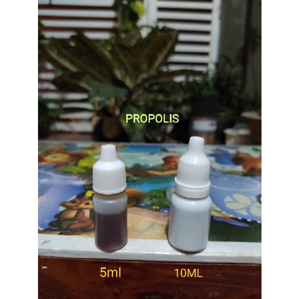 

Propolis / Lem Lebah / Madu Propolis Yothe