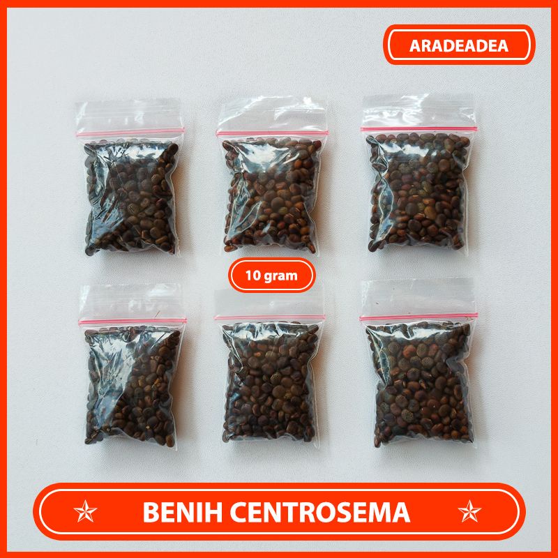 Benih Centrosema Pakan Ternak 10 Gram (Centrosema pubescens)