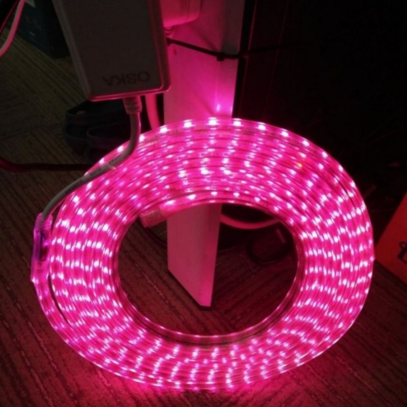 Lampu Led Strip Selang RGB Rope Light Strip Mata Rapat /meter 1 meter