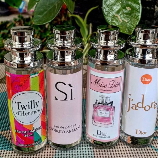 parfum bibit thailand