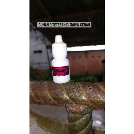 minyak oles dewa jepang