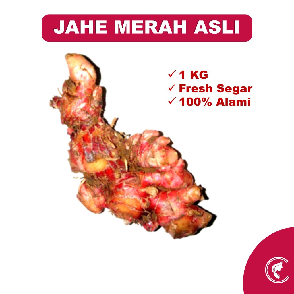 

Jahe Merah 1kg Original Baru Panen