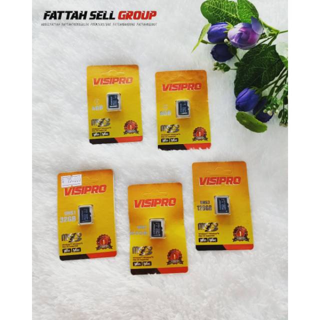 Visipro MicroSD 8 GB Micro SD Card