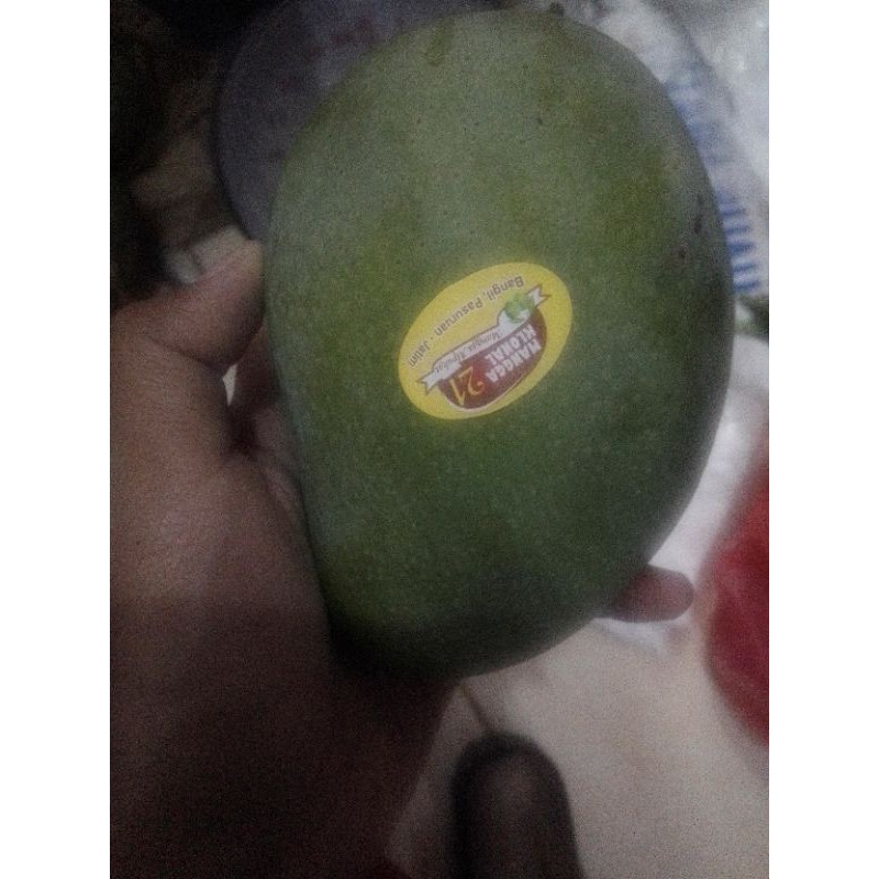 

mangga alpukat 10kg