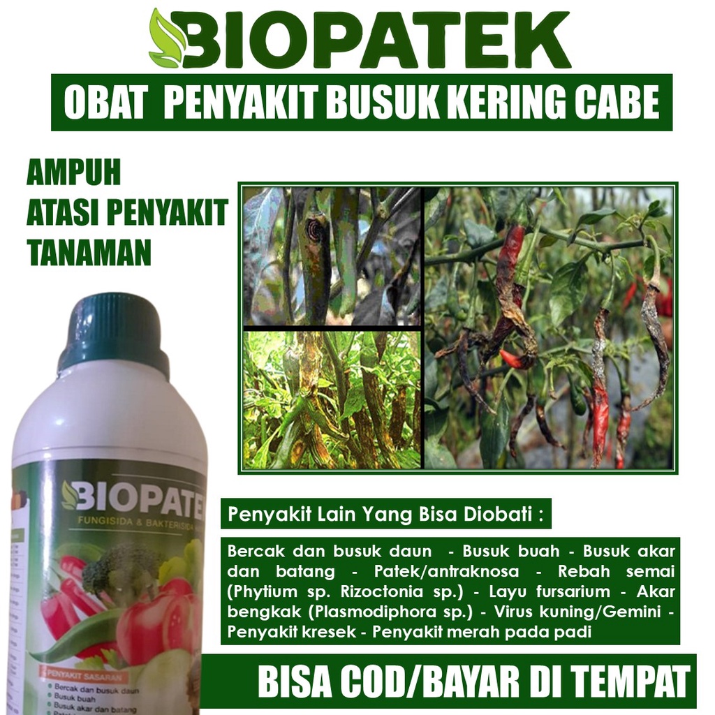 [500 ml] BIOPATEK 500 ml Obat Busuk Buah Cabe / Cabai Paling Manjur, Pupuk Cair Semprot Obat Hama Pe