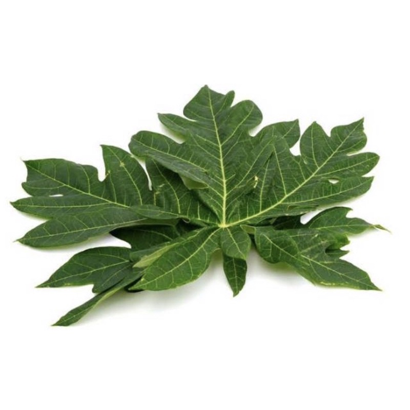 

SayurHD Daun Pepaya Jepang 1 Ikat