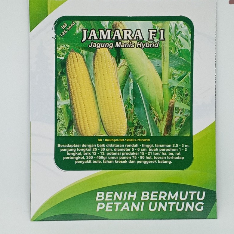 Jual Benih Jagung Manis Varietas Jamara Gr Bibit Jagung Shopee Indonesia