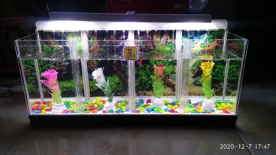 Pompa Air Mancur Mini Dc 3v / 4.5v 100l / H Low Noise Untuk Akuarium Ikan