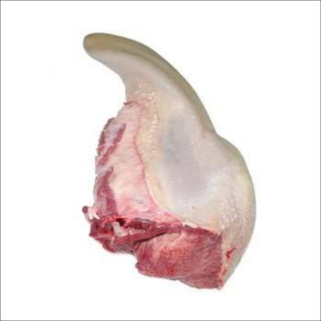 

lidah sapi utuh