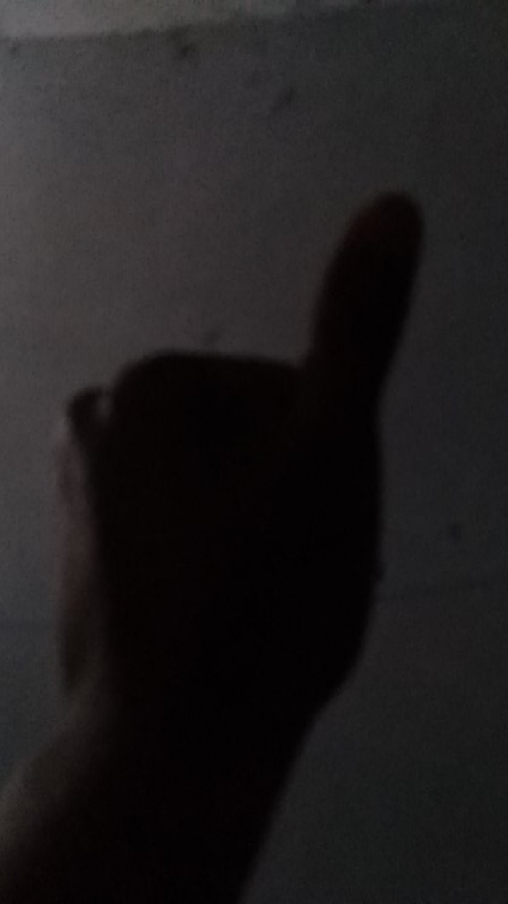 Pengasah Pisau Instan Long Handle Portable Dapur Buah Daging Batu