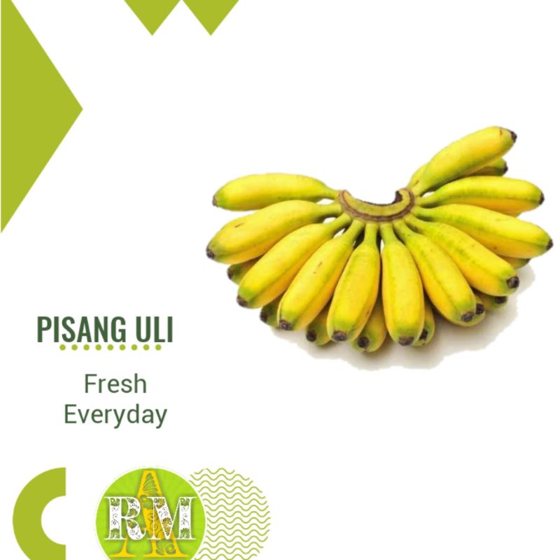 

PISANG ULI