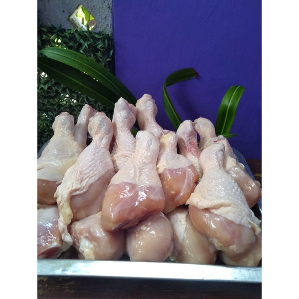 

PAHA PENTUNG UPINIPIN FRESH /CHICKEN DRUM STICK /PAHA BAWAH