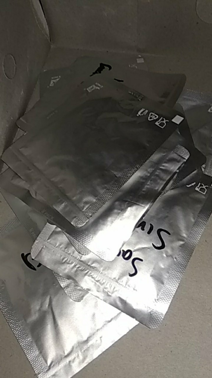 350 Biji Benih Sawi Tosakan Terbaik