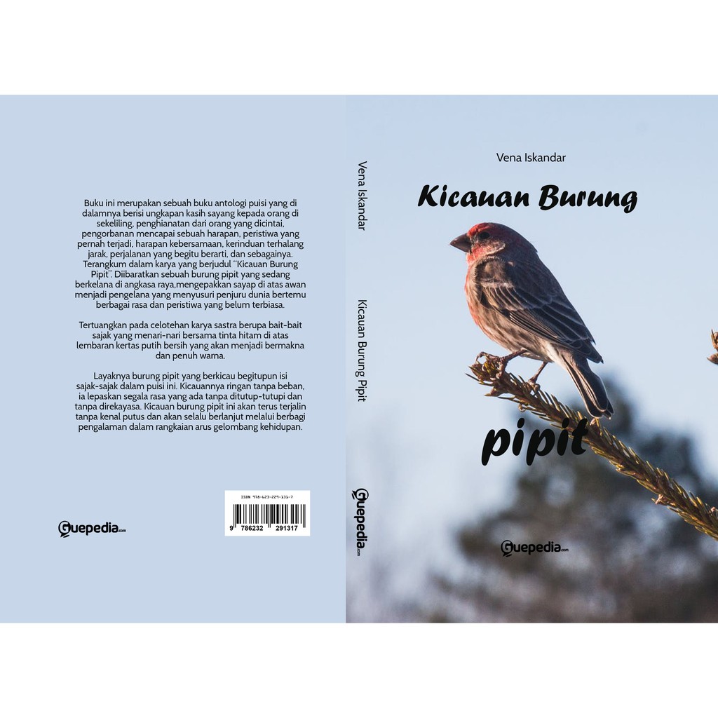 Kicauan Burung Pipit Shopee Indonesia