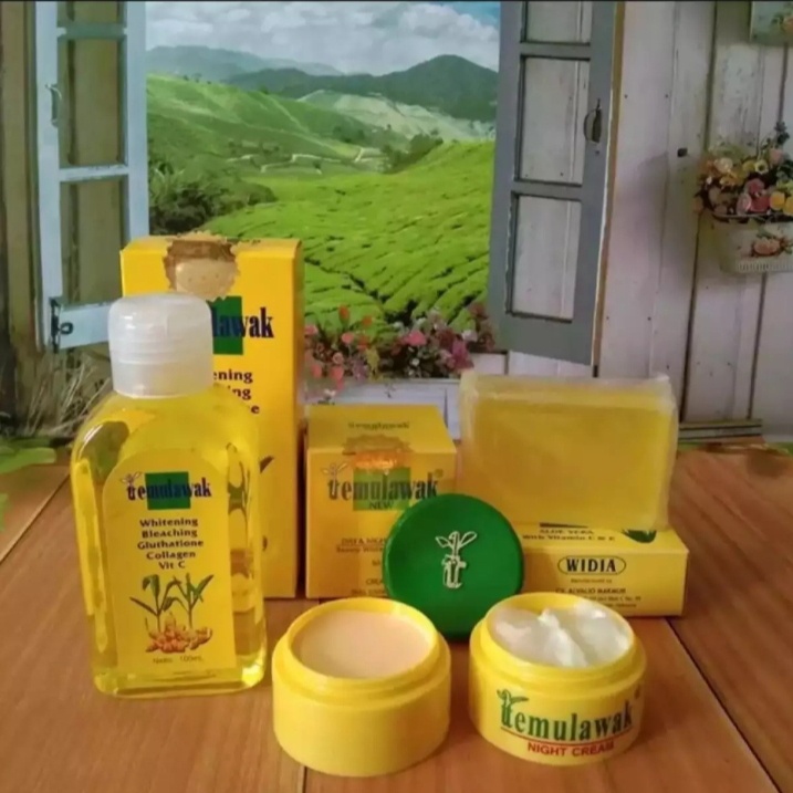 Paket Cream Temulawak / Krim Temulawak Original BPOM Asli 1 Paket / Cream Temulawak Siang dan Malam 