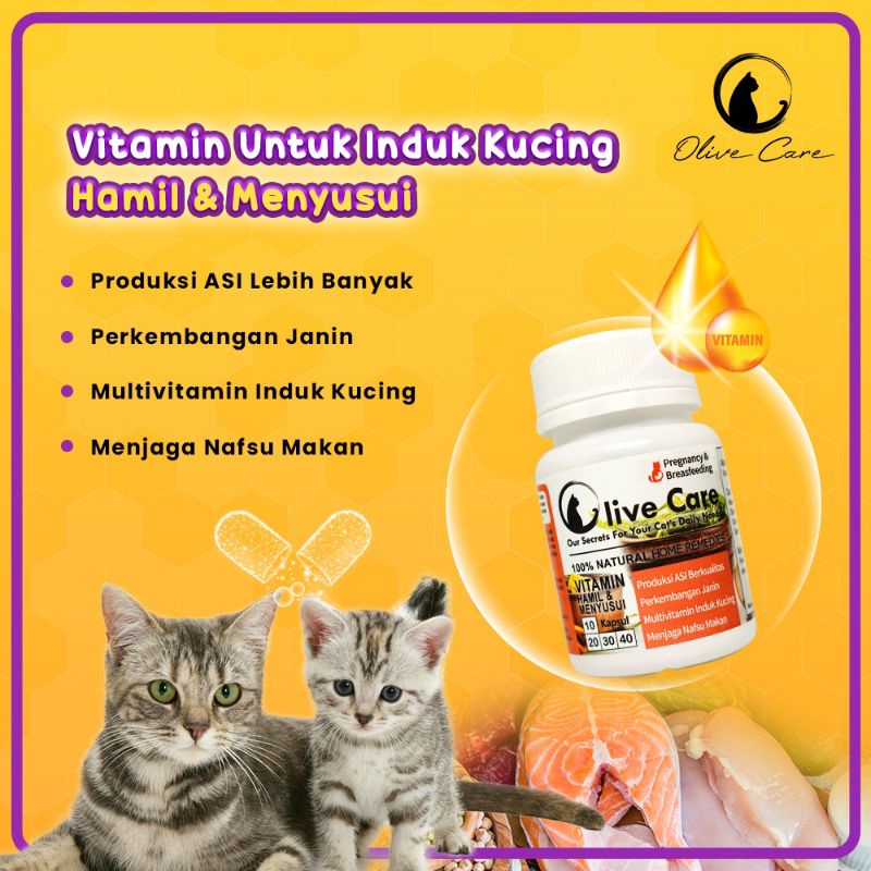 Olive Care Ecer Vitamin Kucing Hamil dan Menyusui Untuk Meningkatkan Produksi Asi dan Kesehatan Janin