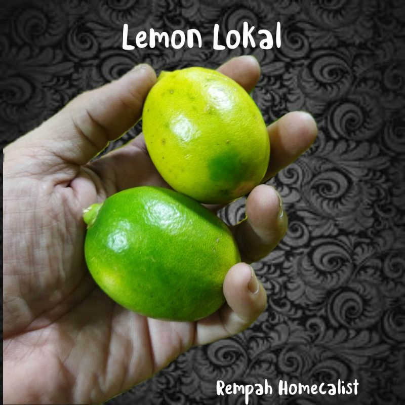 Lemon Lokal Segar