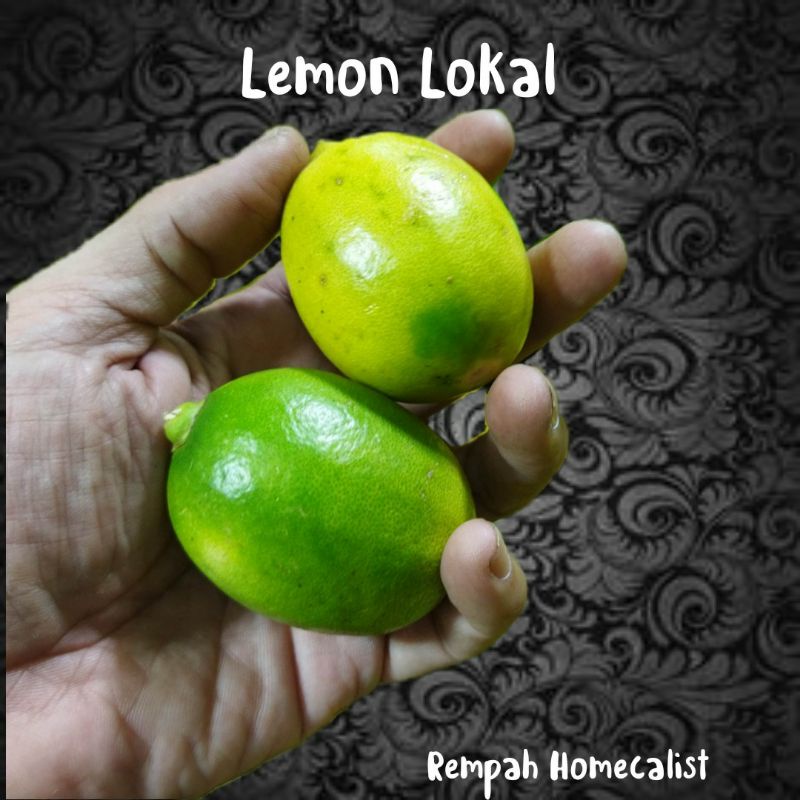 

Lemon Lokal Segar