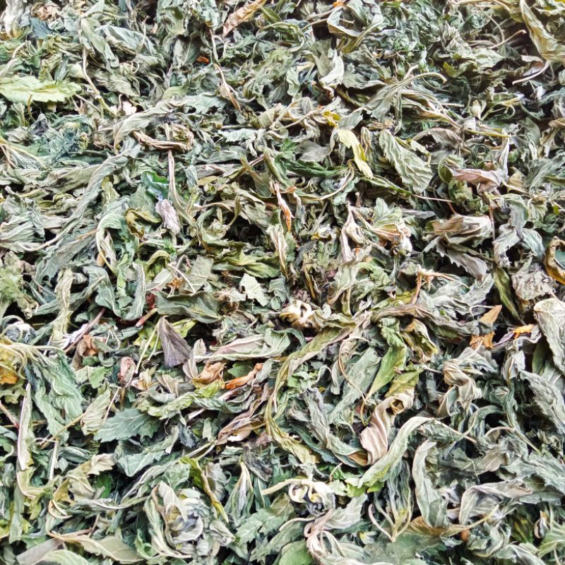 DAMIANA : DAUN KERING DAMIANA TANPA TANGKAI 500 - Gram