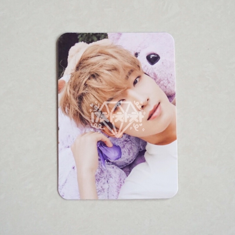 [BOOKED] WONWOO DICON BEAR