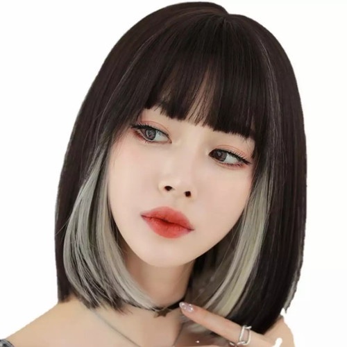 Wig Jepit rambut palsu lurus untuk harian pesta Hariclip highlight wig / hair clip on extention ombre warna warni abu putih