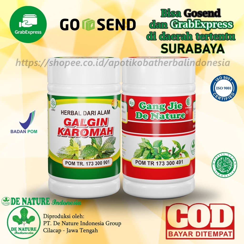 DE NATURE Obat Herbal Ginjal, Batu Ginjal, Kencing Batu Mengobati Masalah Ginjal