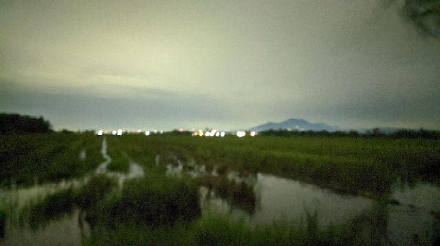 Bswart Batik Hrb026 Kenongo Hem Pendek Anjani Biru Pekalongan M L Xl Batik Pria Murah Modern Grosir