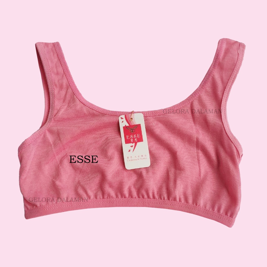 3 Pcs Miniset Polos Anak Perempuan Bra Remaja Pakaian Dalam
