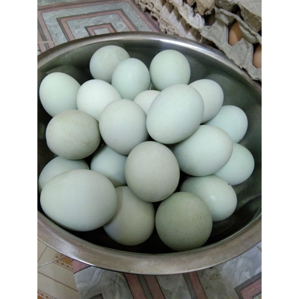 

Telur Asin Matang