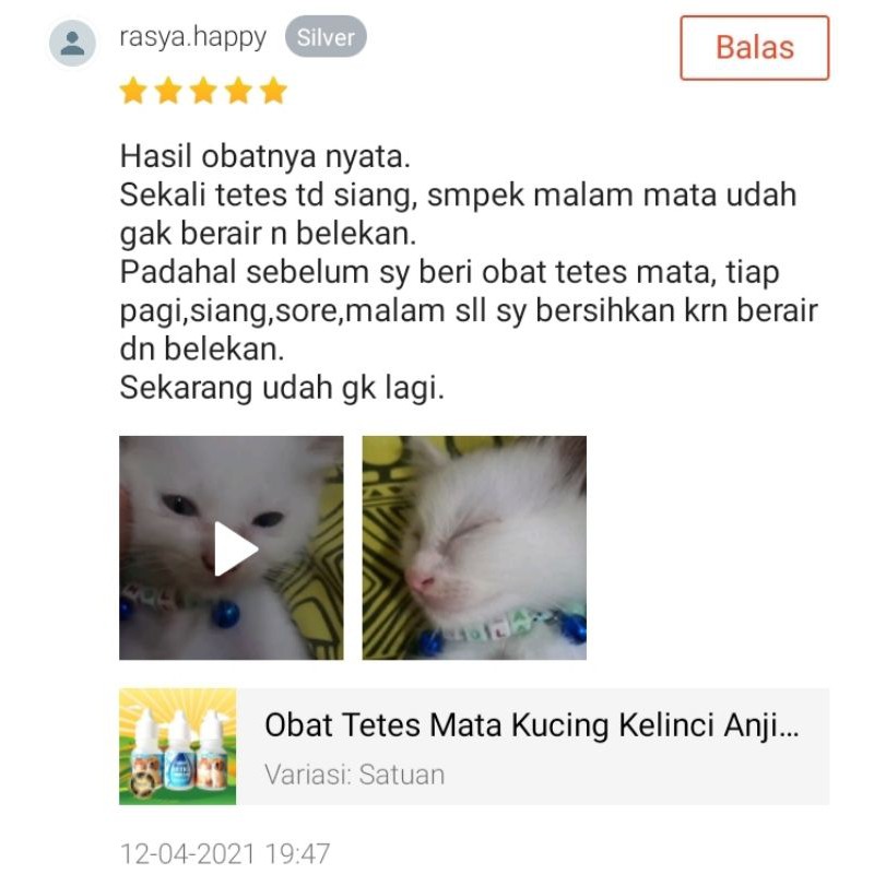 Obat Tetes Mata Kucing Kitten Kelinci Anjing Anti Iritasi Kucing Obat Belekan