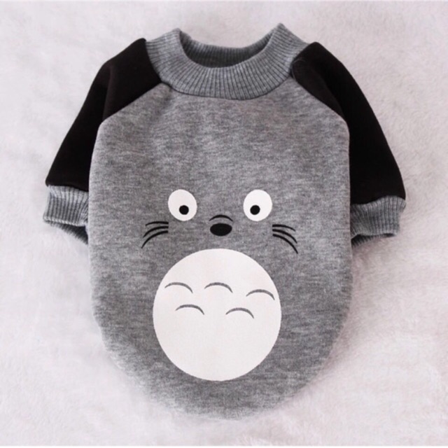 Totoro top