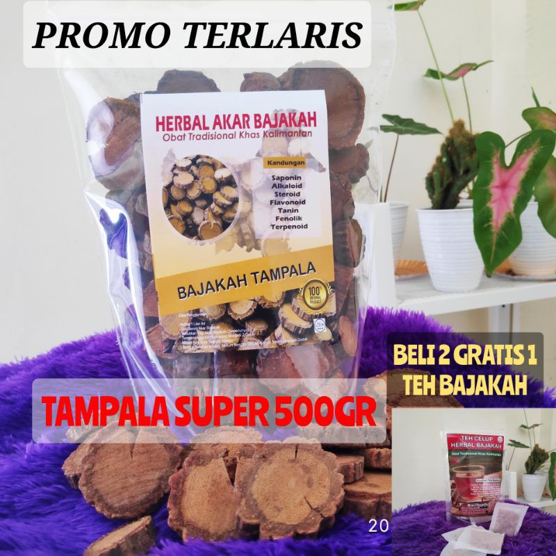 

COD• AKAR BAJAKAH TAMPALA ASLI KALIMANTAN 500gr 100%ORIGINAL