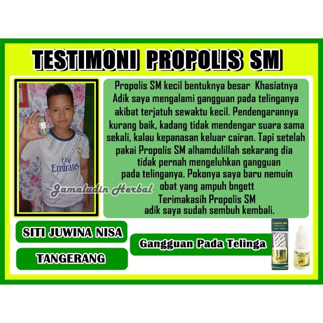 Obat Telinga Berdengung, Berdenging, Bernanah, Berair Dan Bau Propolis Sm Original