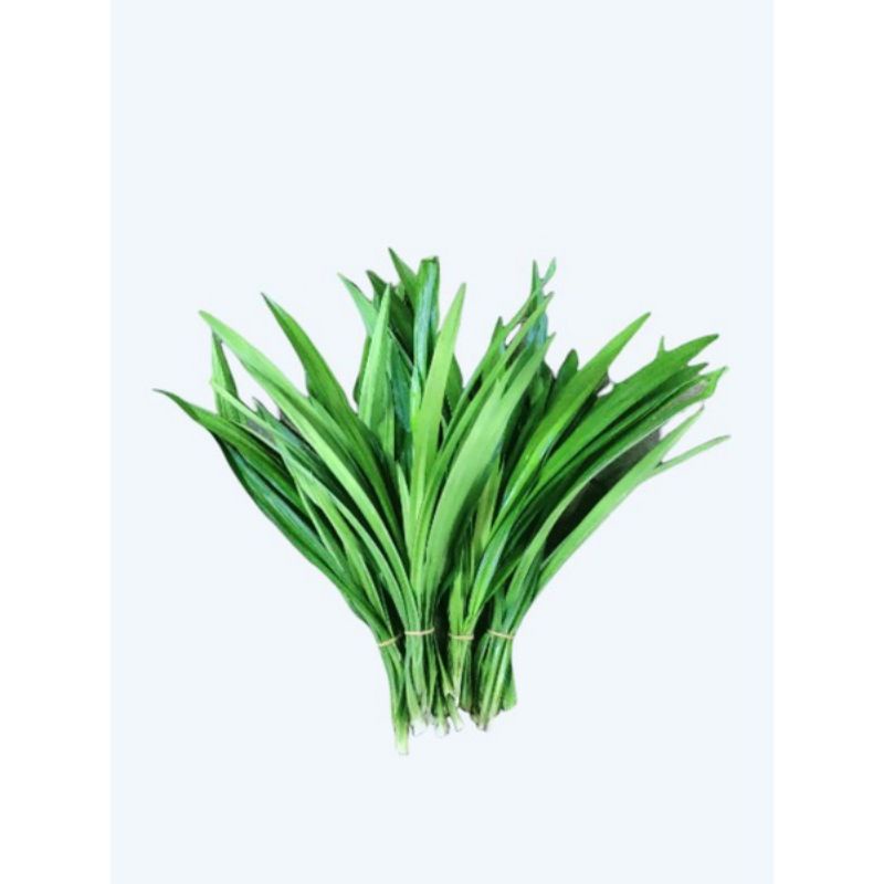 

Daun suji pewarna makanan herbal alami 1 ikat