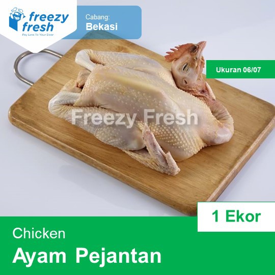

Ayam Pejantan Premium uk 06-07 per ekor