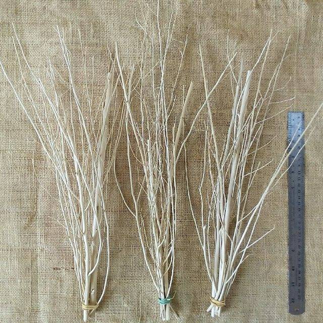 Ranting Kering Bleach Putih Shopee Indonesia