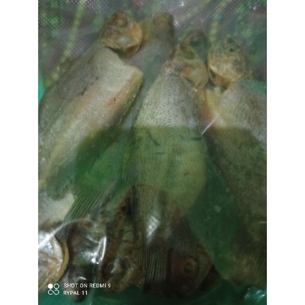 

ikan asin sepat besar