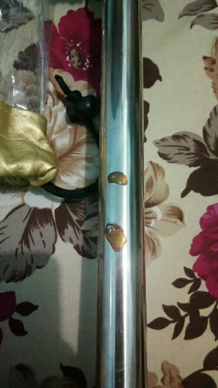 Kemoceng Microfiber Pembersih Debu Mobil Motor Dust Remover