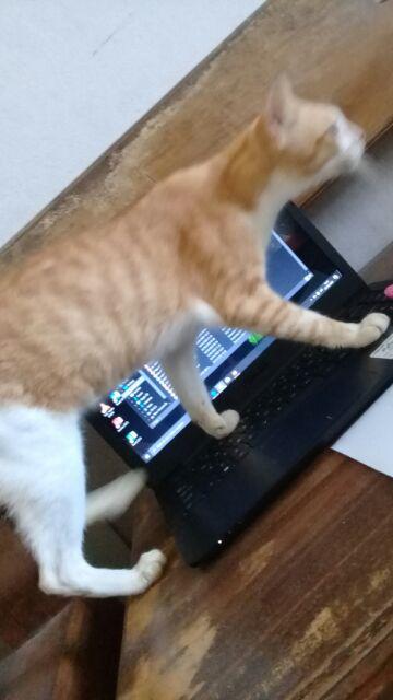 Batik Jumbo Big Size Jumbo Xxl Xxxl 3l 4l 5l Murah Batik Jumbo Couple m,l,xl,xxl,xxxl,xxxxl,xxxxxl