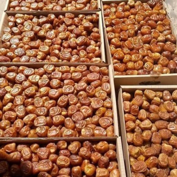 

9.9 Flash Sale Kurma Sukari 3kg ORIGINAL / sukari al qassim 3kg murah / Kurma Sukari Al qassim timba