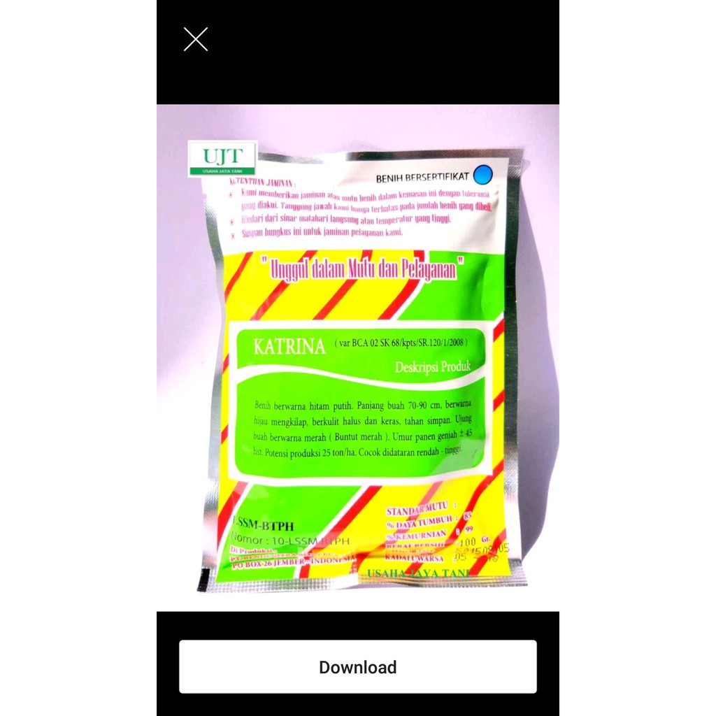 bibit kacang panjang katrina buntut merah Limited