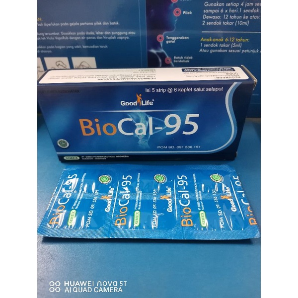 BIO CAL95 / CAL 95 / BIOCAL 1strip isi 6kaplet